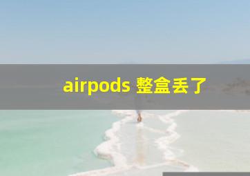 airpods 整盒丢了